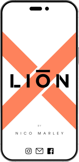 Lion X beverage product image